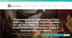 Desktop Screenshot of fefana.org